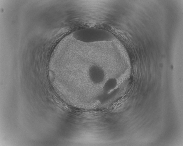 X0000088591105200706151729