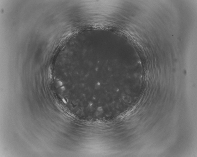 X0000088591106200706151729