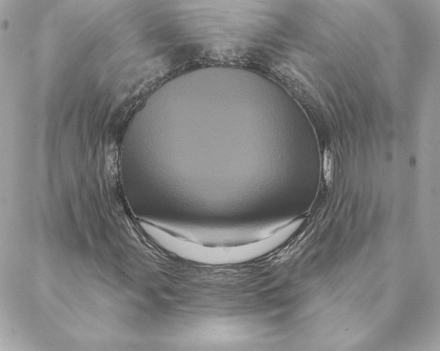 X0000088591107200706151729