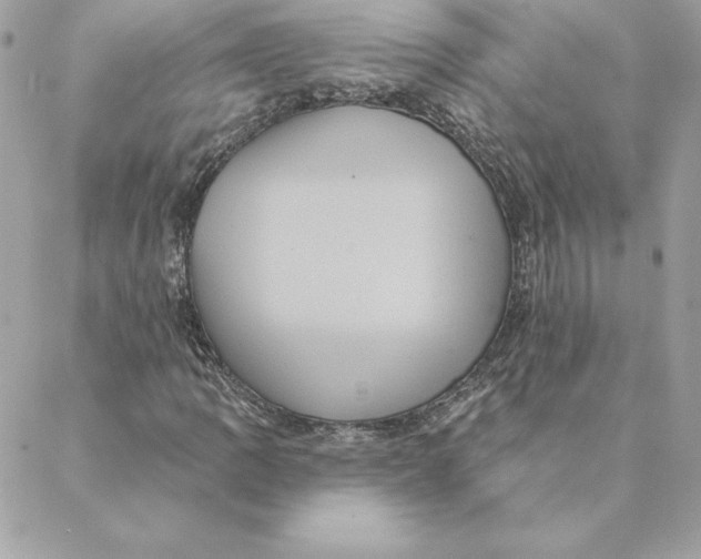 X0000088591109200706151729