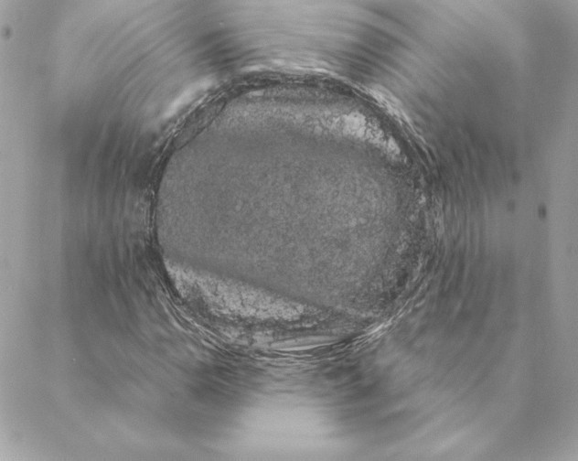 X0000088591110200706151729