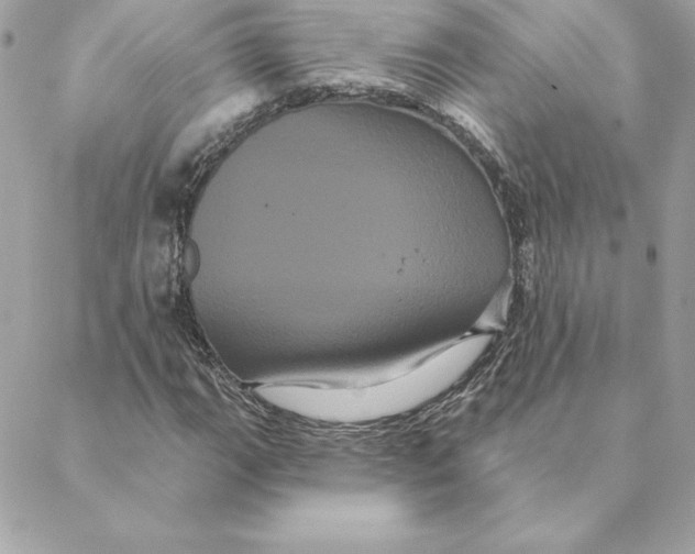 X0000088591111200706151729