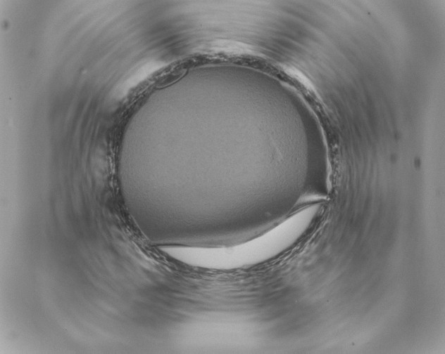 X0000088591112200706151729