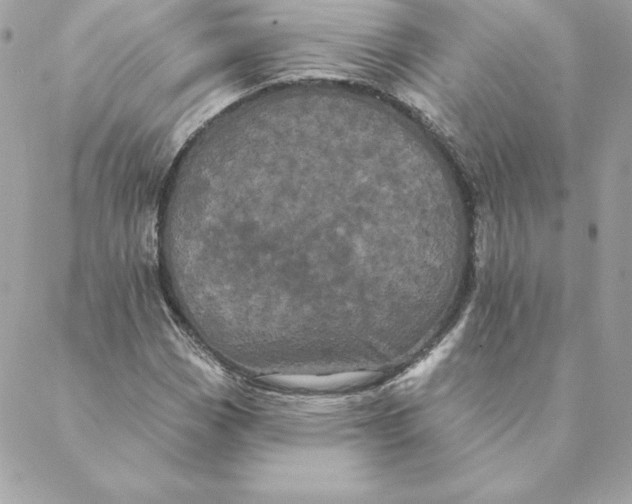 X0000088591113200706151729