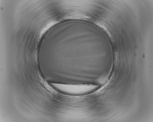 X0000088591114200706151729