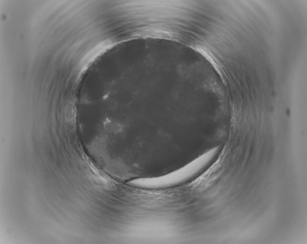 X0000088591115200706151729