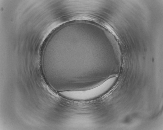 X0000088591116200706151729