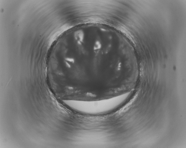 X0000088591117200706151729