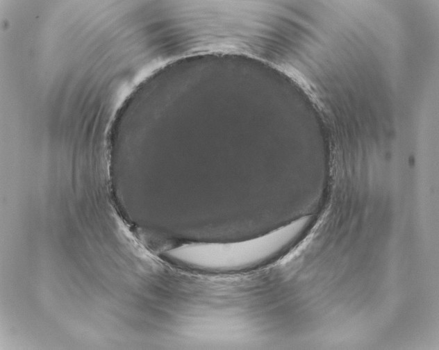 X0000088591118200706151729