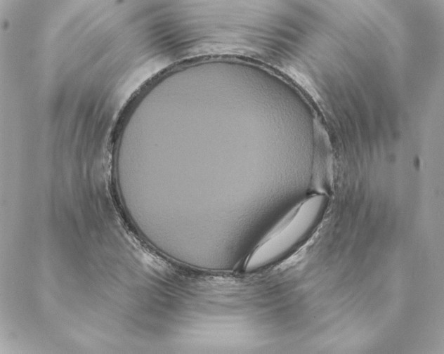 X0000088591119200706151729