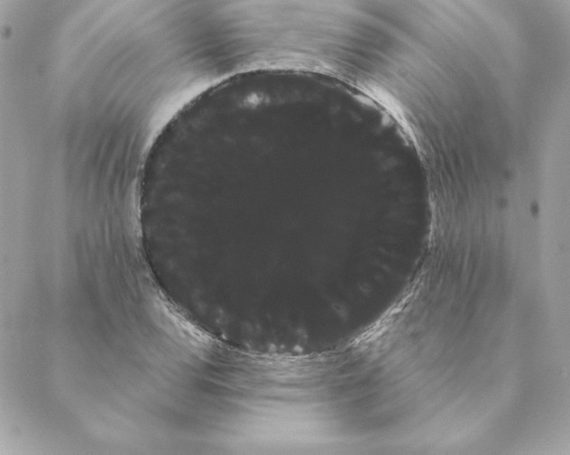 X0000088591120200706151729