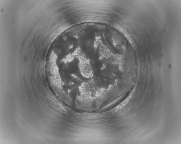 X0000088591121200706151729