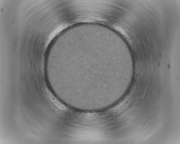 X0000088591122200706151729