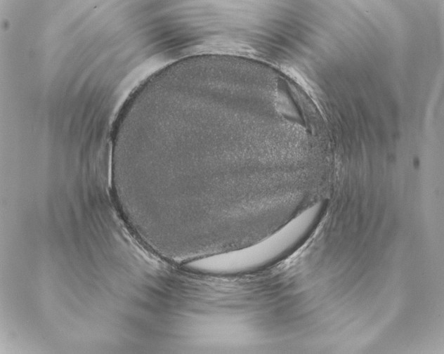 X0000088591123200706151729