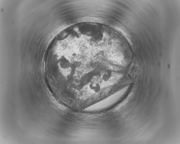 X0000088591125200706151729