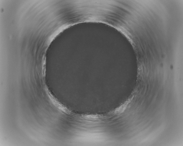 X0000088591126200706151729