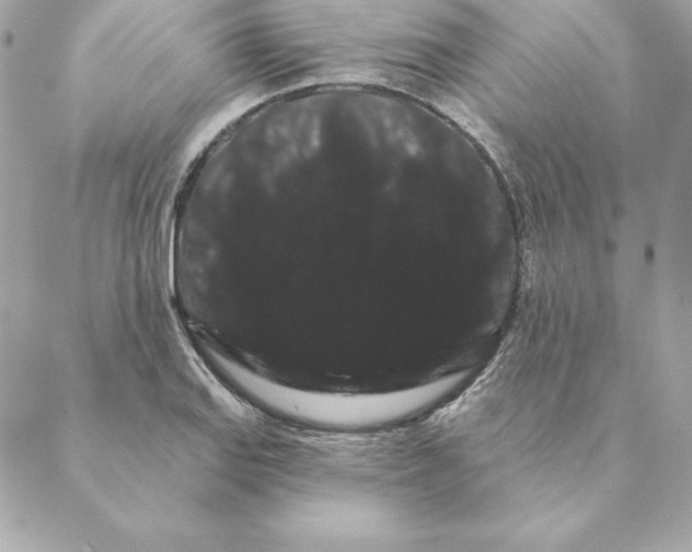 X0000088591127200706151730