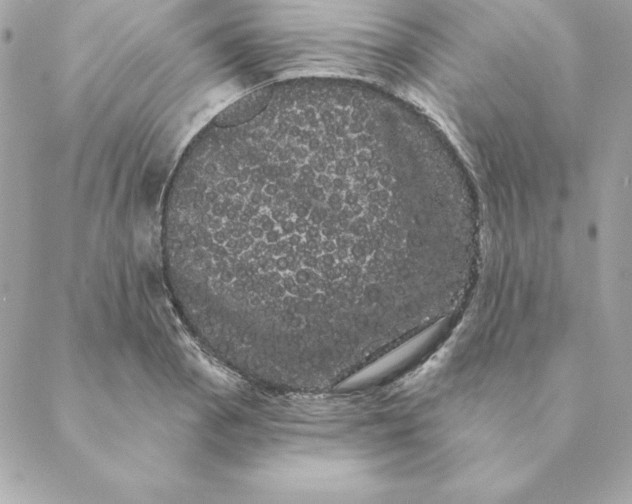 X0000088591129200706151730