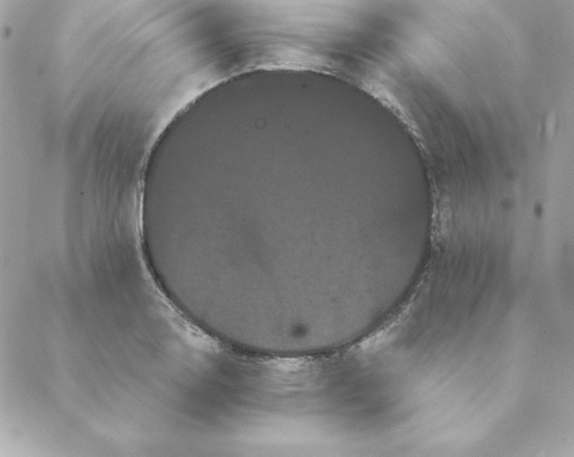 X0000088591130200706151730