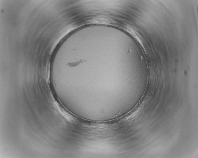 X0000088591131200706151730