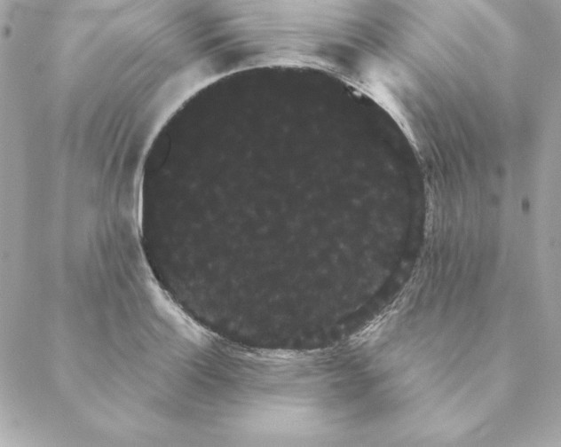 X0000088591132200706151730