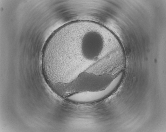 X0000088591133200706151730