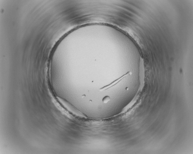 X0000088591134200706151730