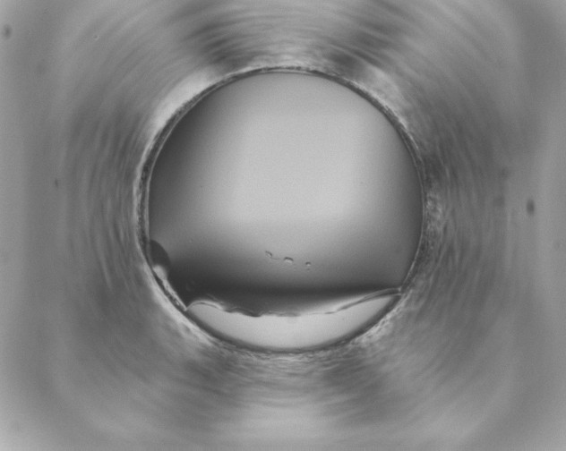 X0000088591135200706151730