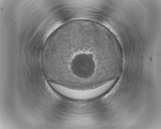 X0000088591137200706151730