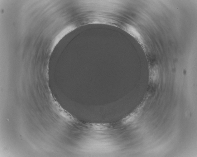 X0000088591138200706151730