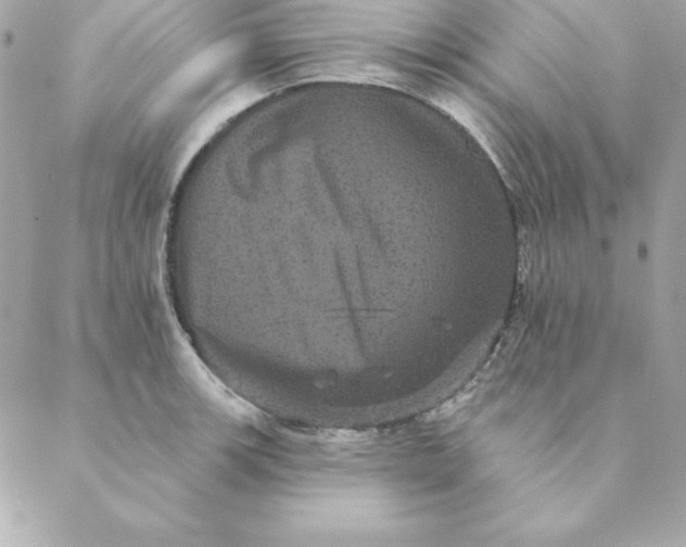 X0000088591139200706151730