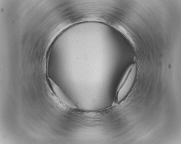 X0000088591140200706151730