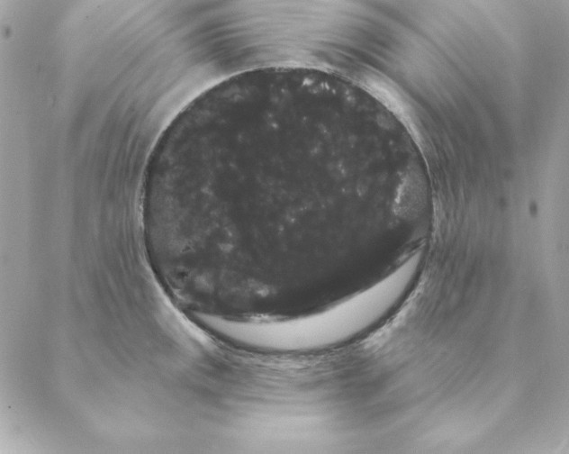 X0000088591141200706151730