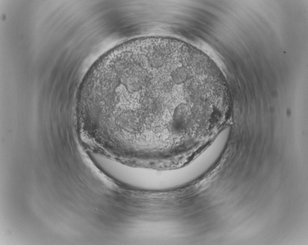 X0000088591142200706151730