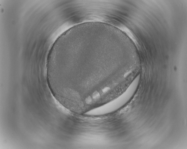 X0000088591143200706151730