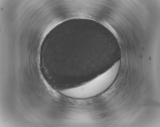 X0000088591144200706151730