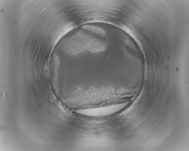 X0000088591145200706151730