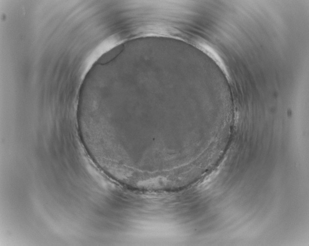 X0000088591146200706151730