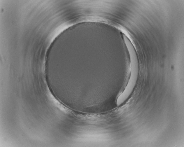 X0000088591147200706151730