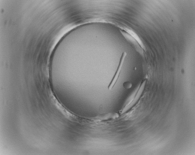 X0000088591148200706151730