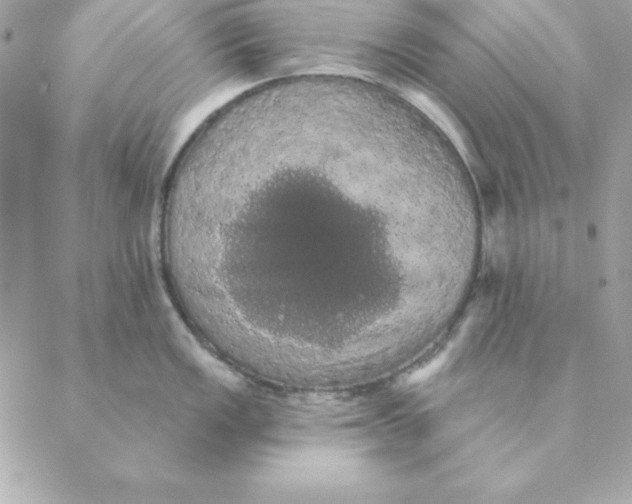 X0000088591149200706151730