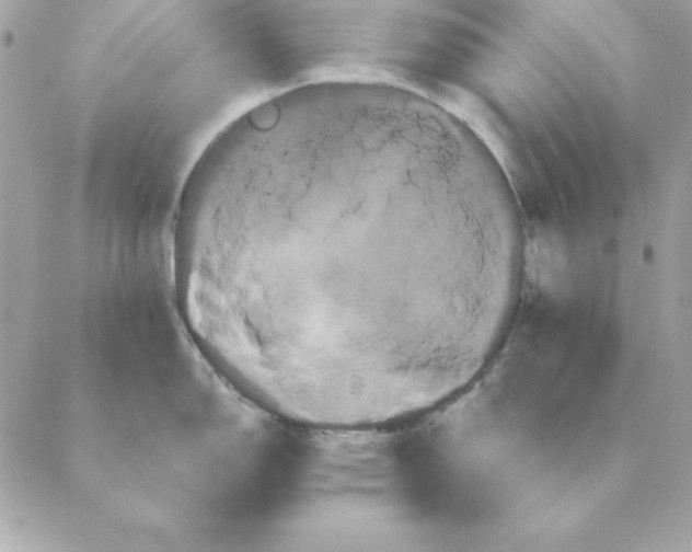 X0000088591150200706151730