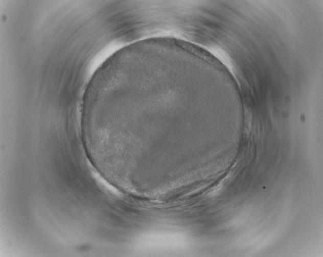 X0000088591151200706151730