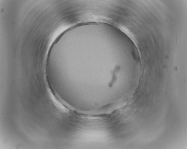 X0000088591152200706151730