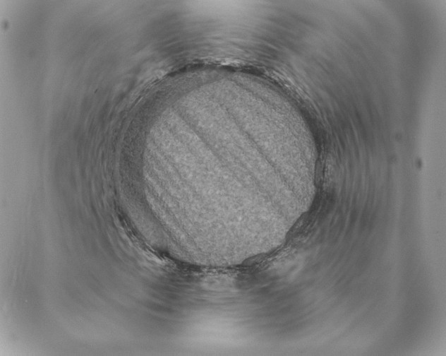 X0000088591153200706151729