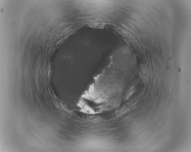 X0000088591154200706151729