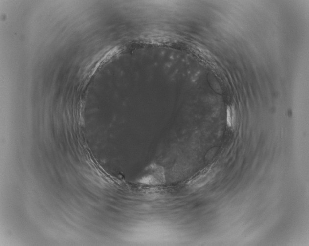 X0000088591155200706151729