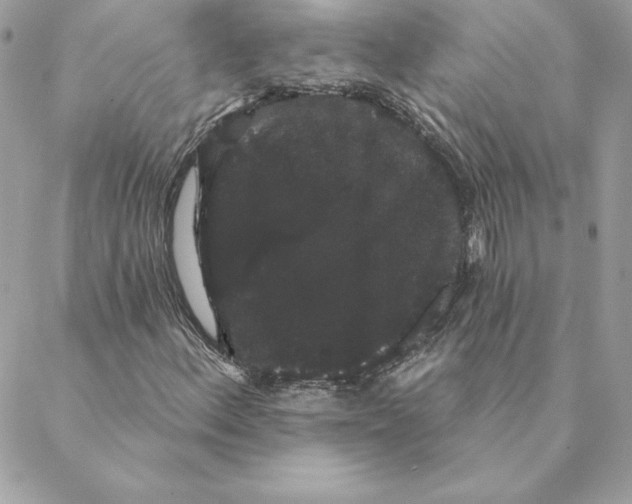 X0000088591156200706151729