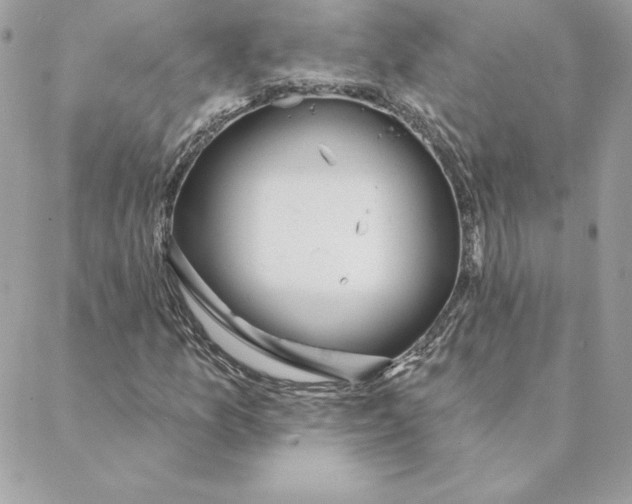 X0000088591157200706151729