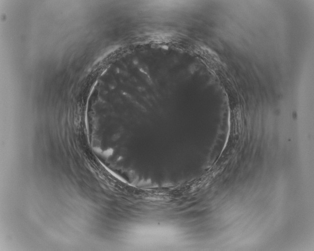 X0000088591158200706151729